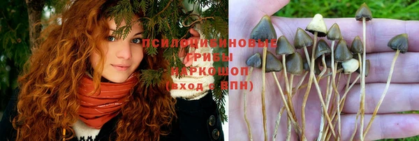 стафф Алексеевка