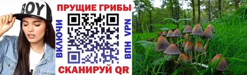 Галлюциногенные грибы GOLDEN TEACHER  Устюжна 