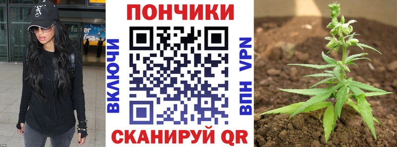 цена наркотик Устюжна МАРИХУАНА тримм